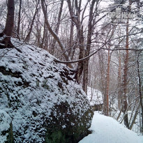 фото из отзыва ID 1345036