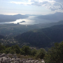 фото из отзыва ID 1345060