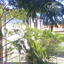 фото из отзыва ID 1345080