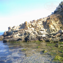 фото из отзыва ID 1345080