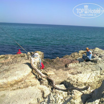 фото из отзыва ID 1345080