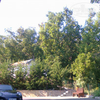 фото из отзыва ID 1345080