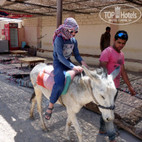 фото из отзыва ID 1345292