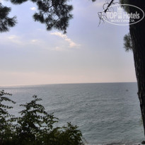 фото из отзыва ID 1345338