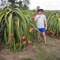 фото из отзыва ID 1345378