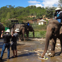 фото из отзыва ID 1345378