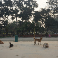 фото из отзыва ID 1345406