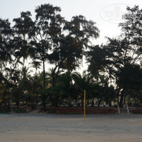 фото из отзыва ID 1345406