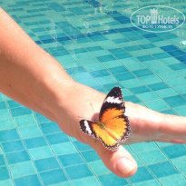 фото из отзыва ID 1345445