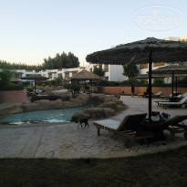 фото из отзыва ID 1345470