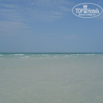 фото из отзыва ID 1345521