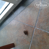 фото из отзыва ID 1345521