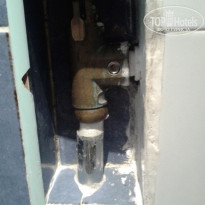 фото из отзыва ID 1345521