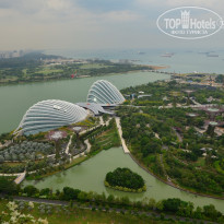 фото из отзыва ID 1345959