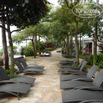 фото из отзыва ID 1345959