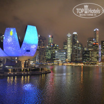 фото из отзыва ID 1345959