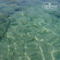 фото из отзыва ID 1346129