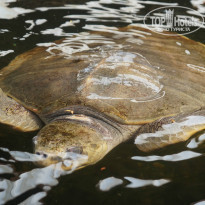 фото из отзыва ID 1346129