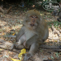 фото из отзыва ID 1346129