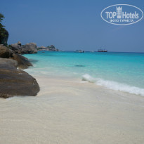 фото из отзыва ID 1346129