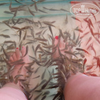 фото из отзыва ID 1346129