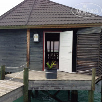 фото из отзыва ID 1346185