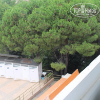 фото из отзыва ID 1346364