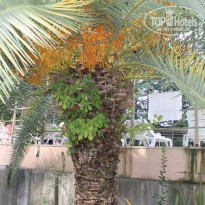 фото из отзыва ID 1346364