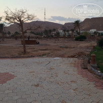 фото из отзыва ID 1346389