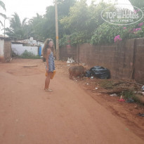 фото из отзыва ID 1346399