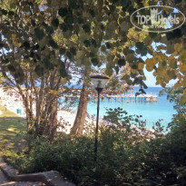 фото из отзыва ID 1346403