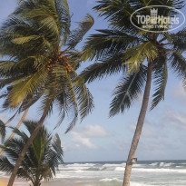 фото из отзыва ID 1346532