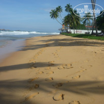 фото из отзыва ID 1346532