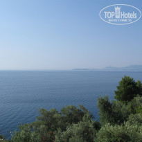 фото из отзыва ID 1346555