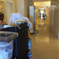 фото из отзыва ID 1346639