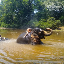 фото из отзыва ID 1346642