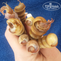 фото из отзыва ID 1346682