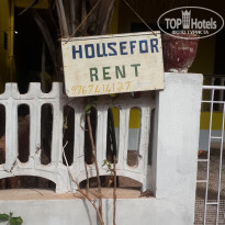 фото из отзыва ID 1346682