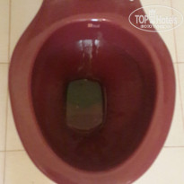 фото из отзыва ID 1346682