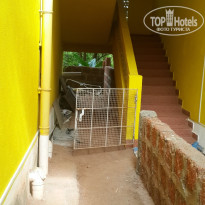 фото из отзыва ID 1346682