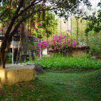 фото из отзыва ID 1346722