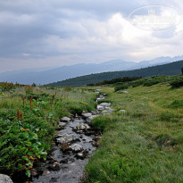 фото из отзыва ID 1346785