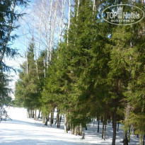 фото из отзыва ID 1346945