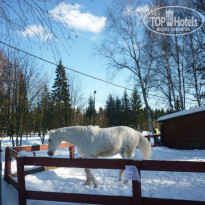 фото из отзыва ID 1346945