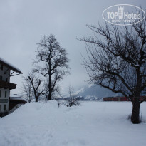 фото из отзыва ID 1346950