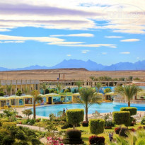 фото из отзыва ID 1346985