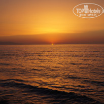 фото из отзыва ID 1346990