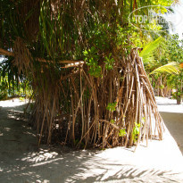 фото из отзыва ID 1347086