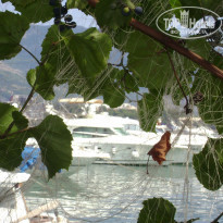 фото из отзыва ID 1347142