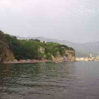 фото из отзыва ID 1347142